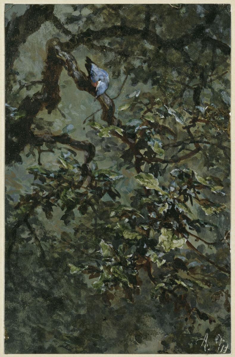 Der blauspecht im Laub. Aus dem "Kinderalbum"