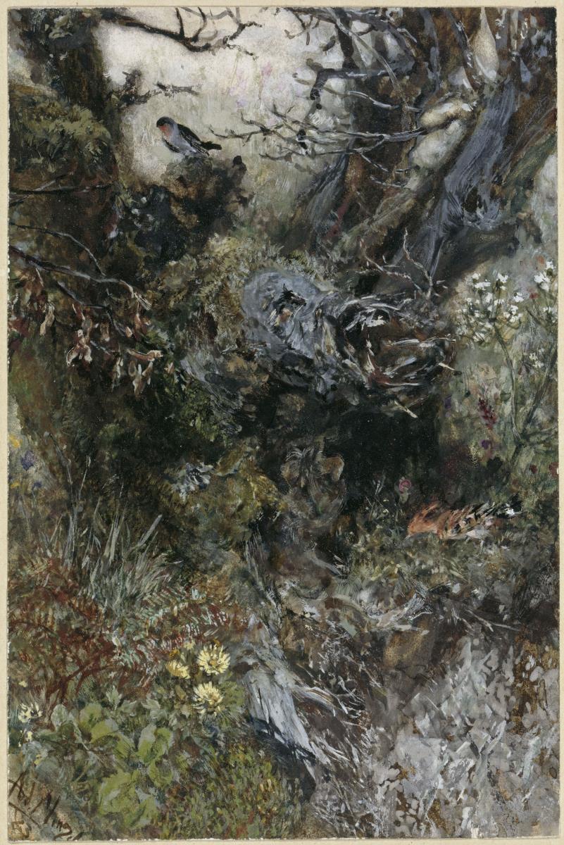 Baumstumpf mit Rotkehlchen und Wiedehopf. Aus dem "Kinderalbum"