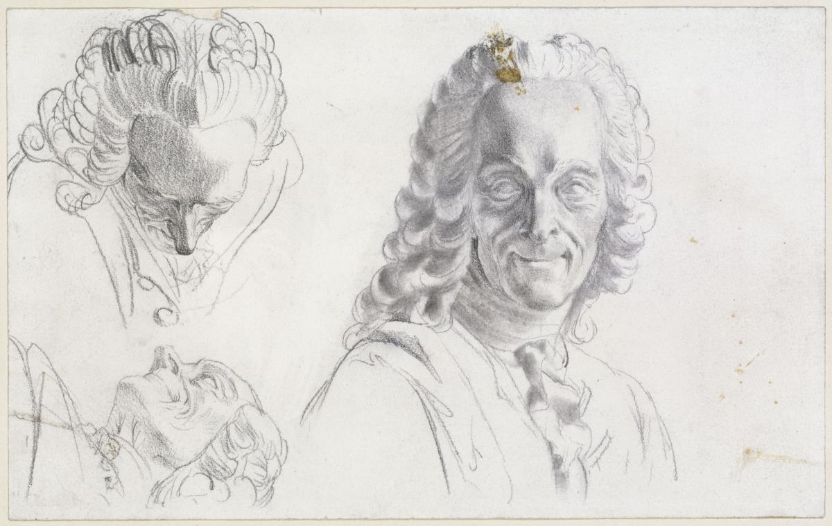 Studie zu Voltaire