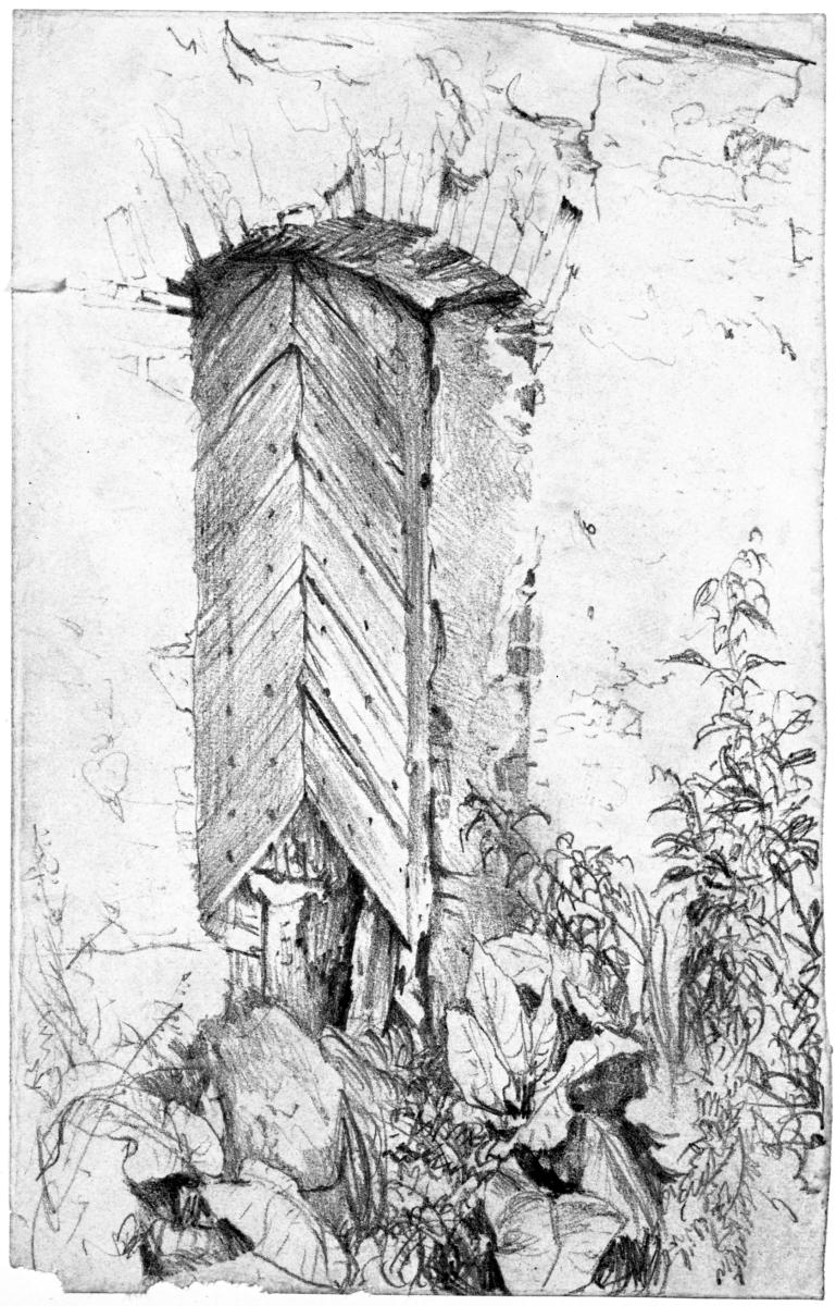 Pflanzen vor einer Mauer mit Holztür