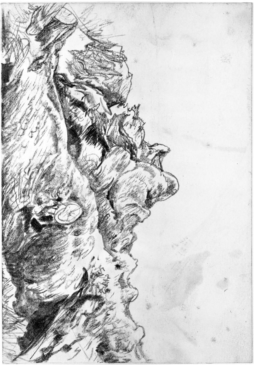 Knorriger Baum
