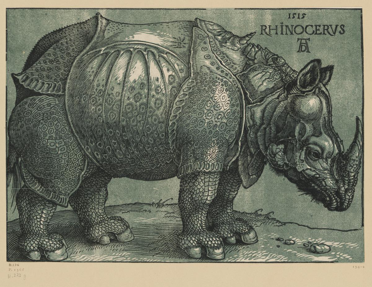 Das Rhinozeros