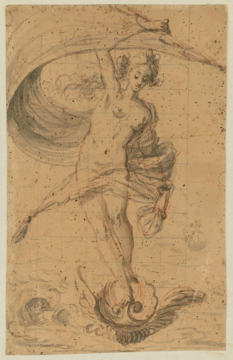 Venus entsteigt dem Meer