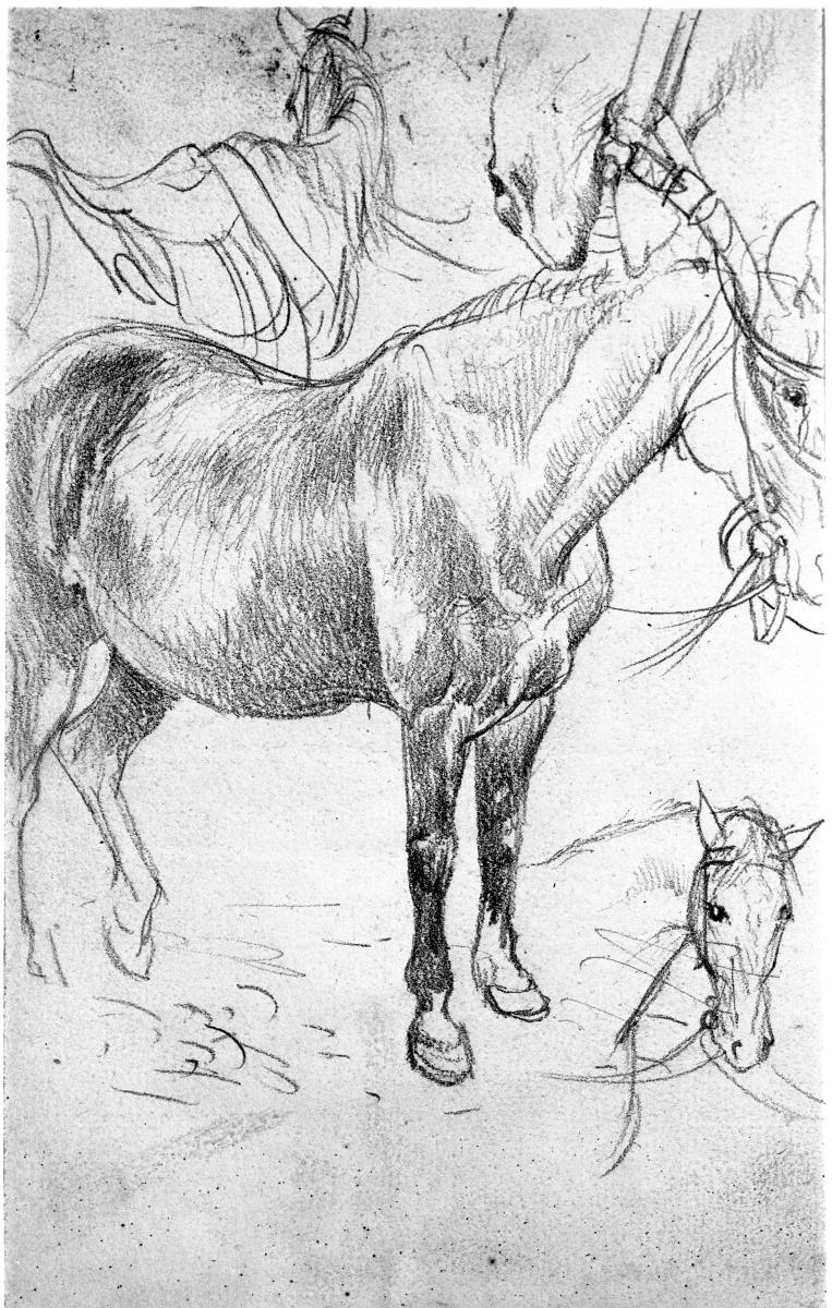 Stehendes Pferd, von verschiedenen Seiten gesehen und Details