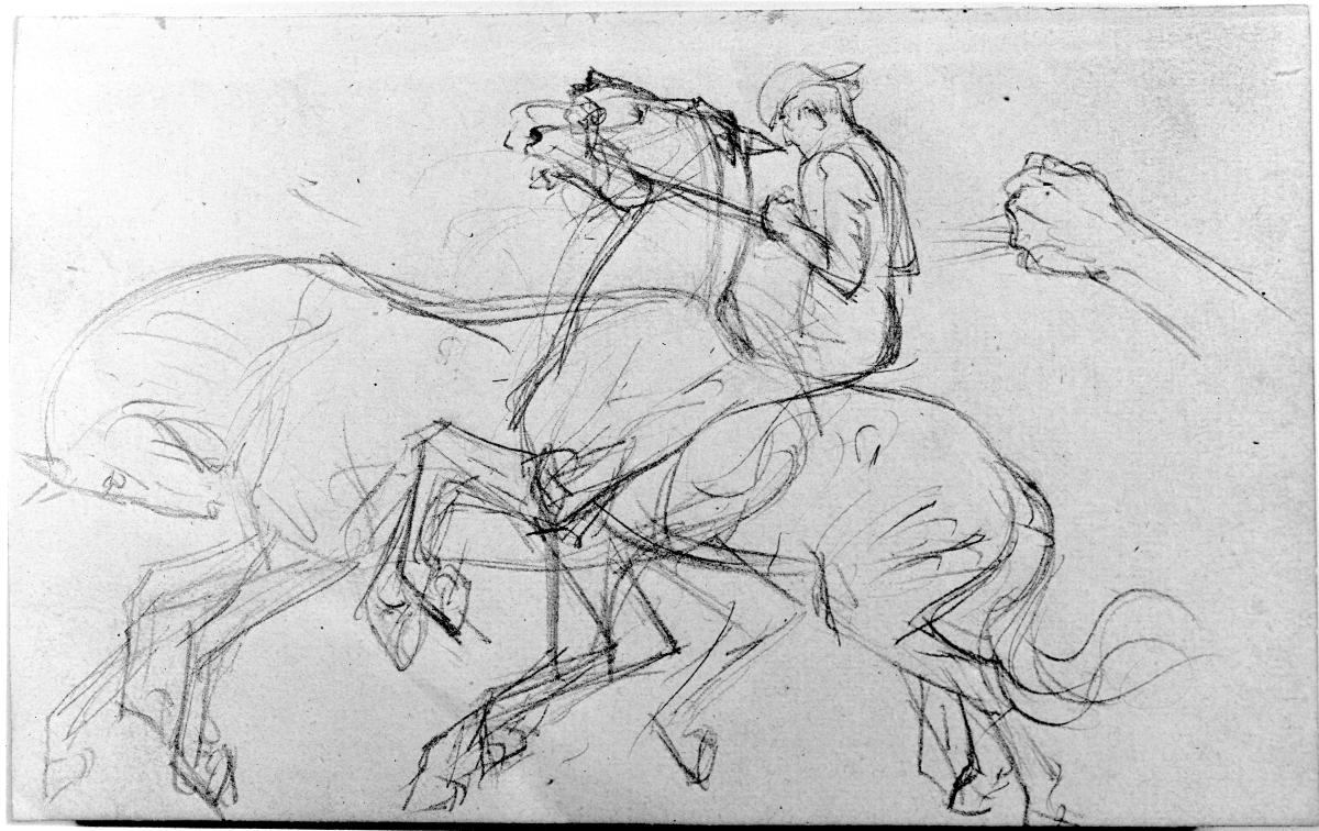 Ein Reiter auf springendem Pferd, galoppierendes Pferd, Armstudie