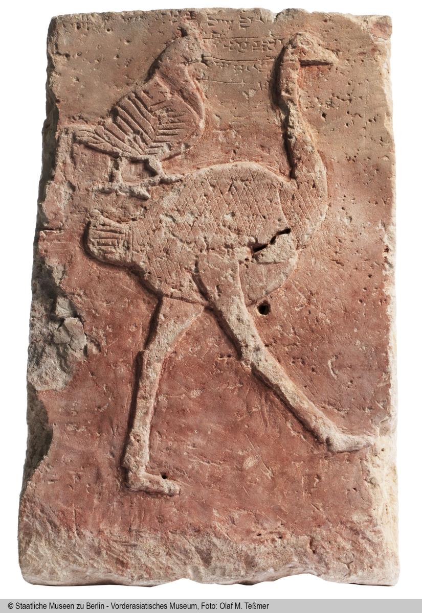 Strauß und Huhn (Orthostat)