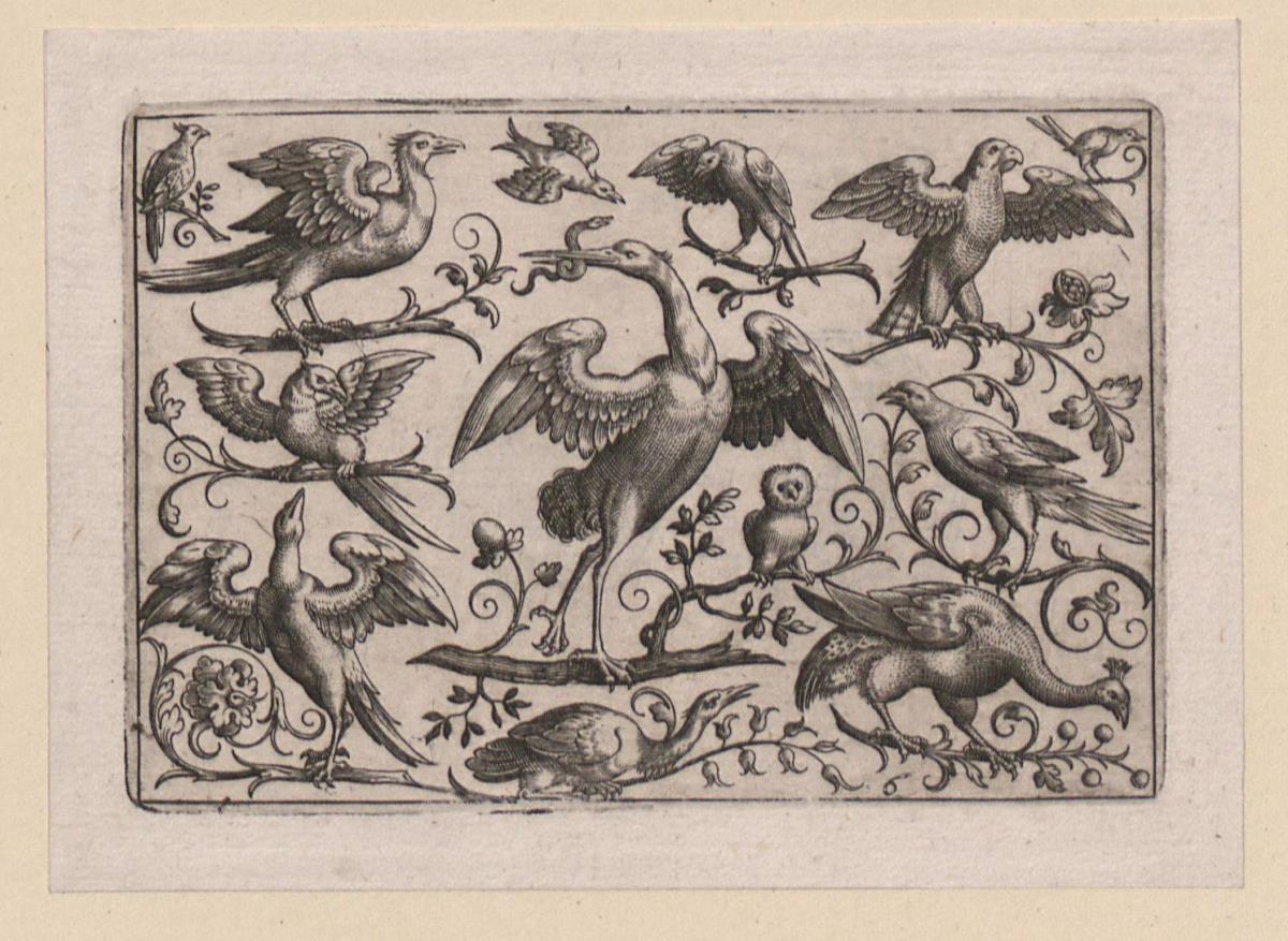 Vögel auf kleinen z.T. ornamental gestalteten Zweigen