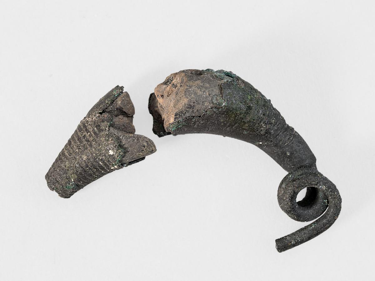 Fibelfragment