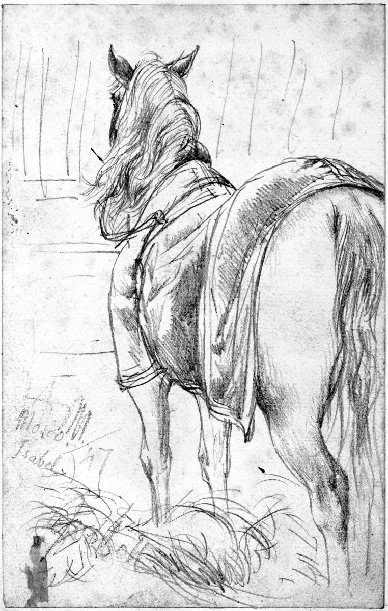 Pferd mit Decke an der Krippe im Stall