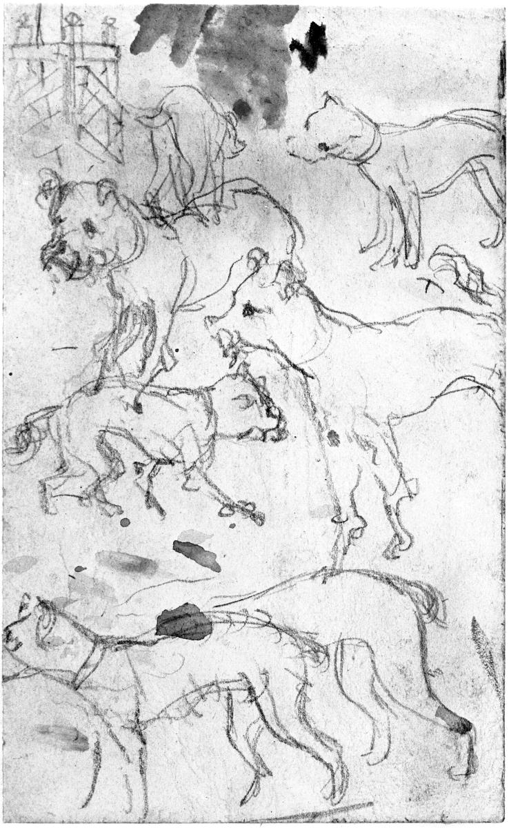 Sieben Hundskizzen