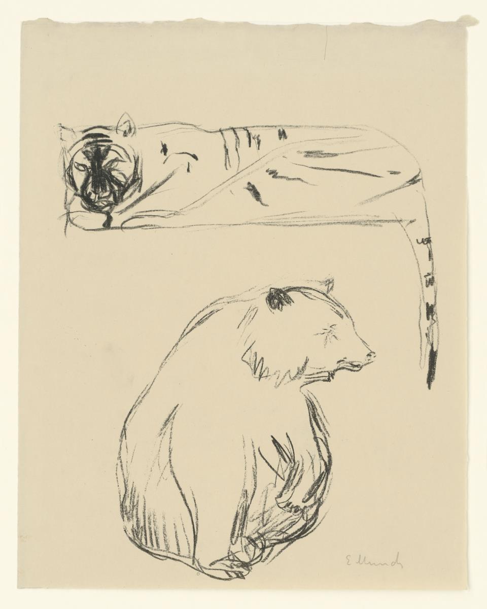 Tiger und Bär