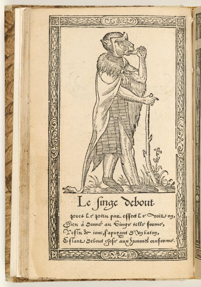 Trachtenbuch: Recueil de la diversité des habits: Le singe debout