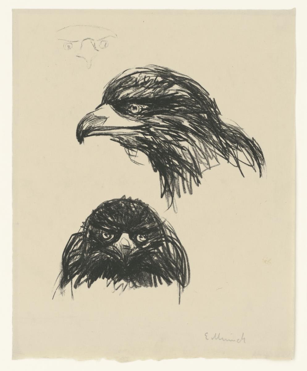 Raubvogel (von vorn, von der Seite nach links und Umriß-Detail)
