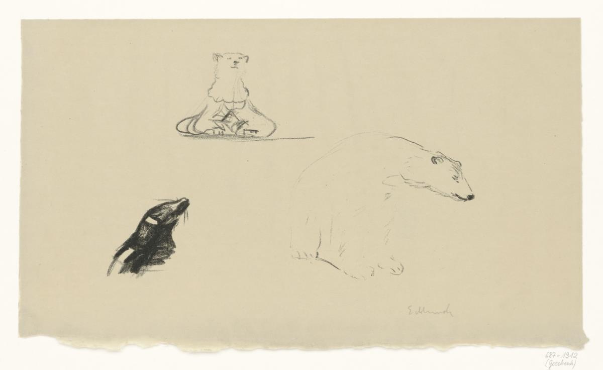 Seehund und Eisbär