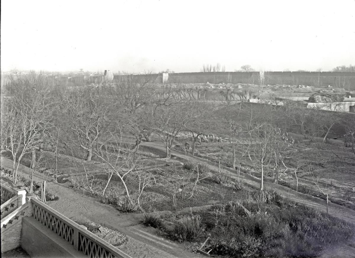 Panorama