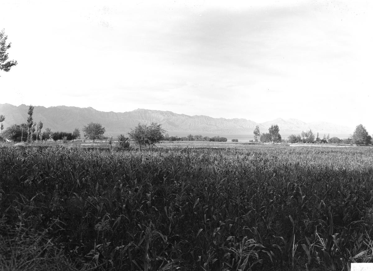 Panorama
