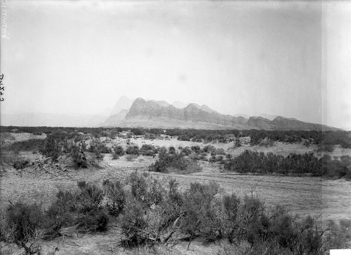 Panorama