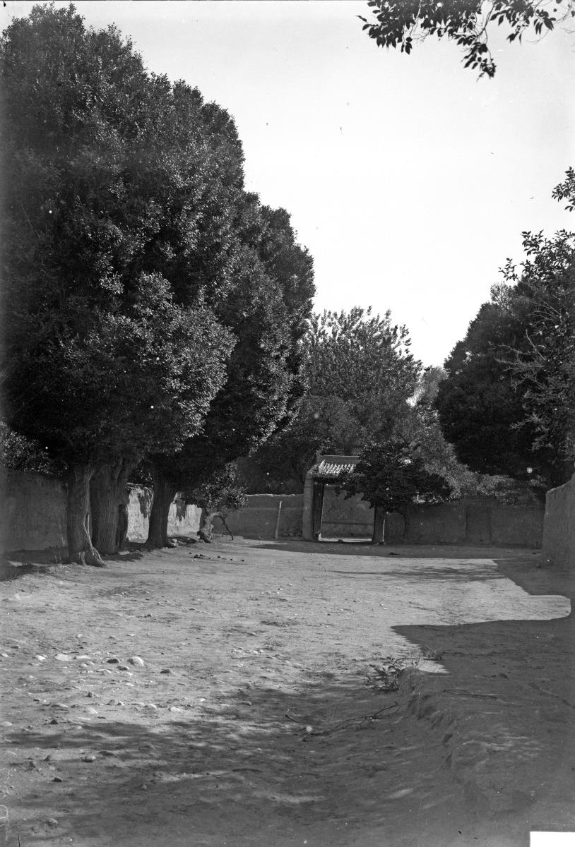 Panorama