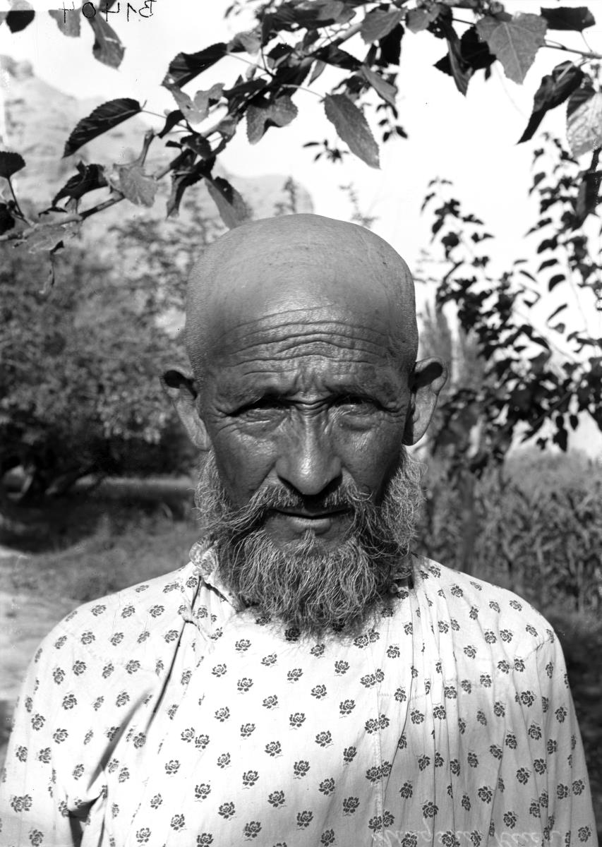 Portait