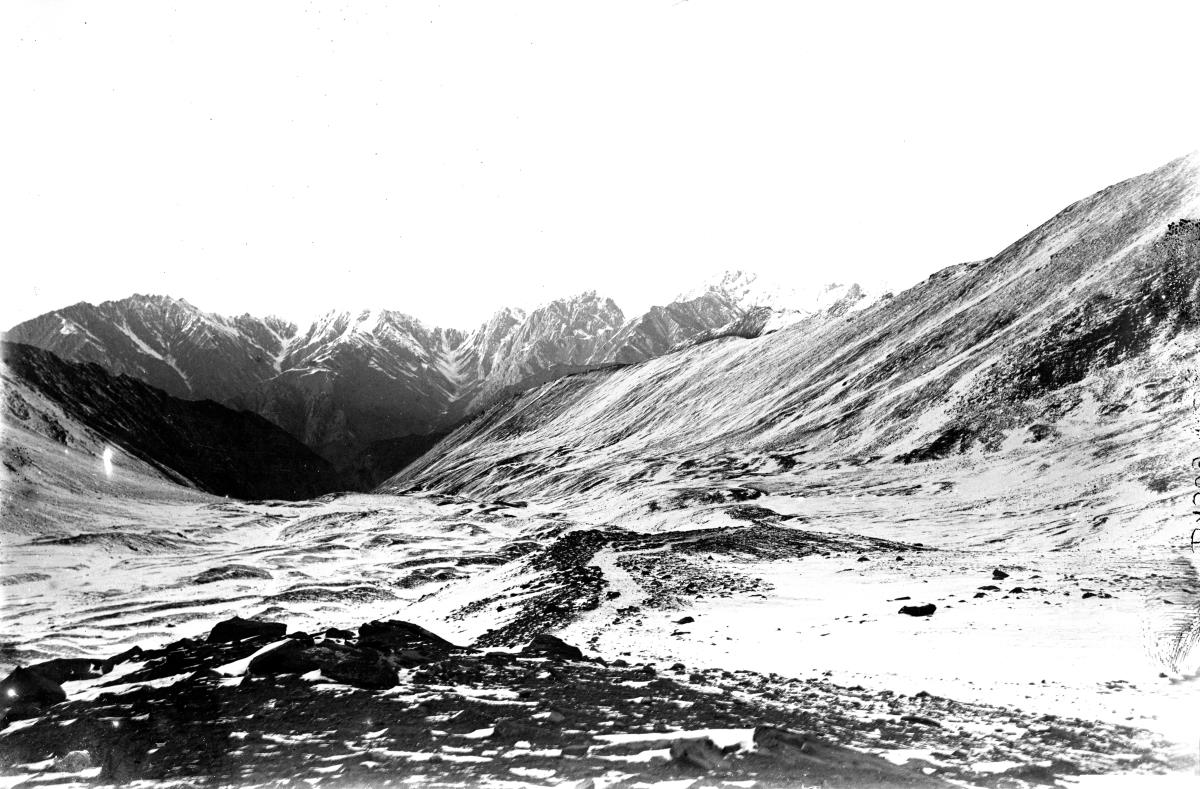 Panorama