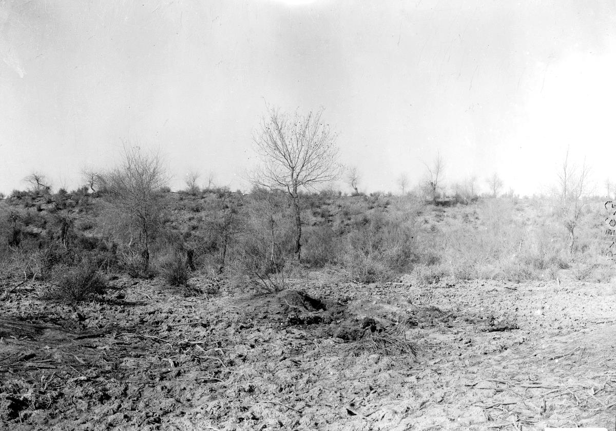 Panorama