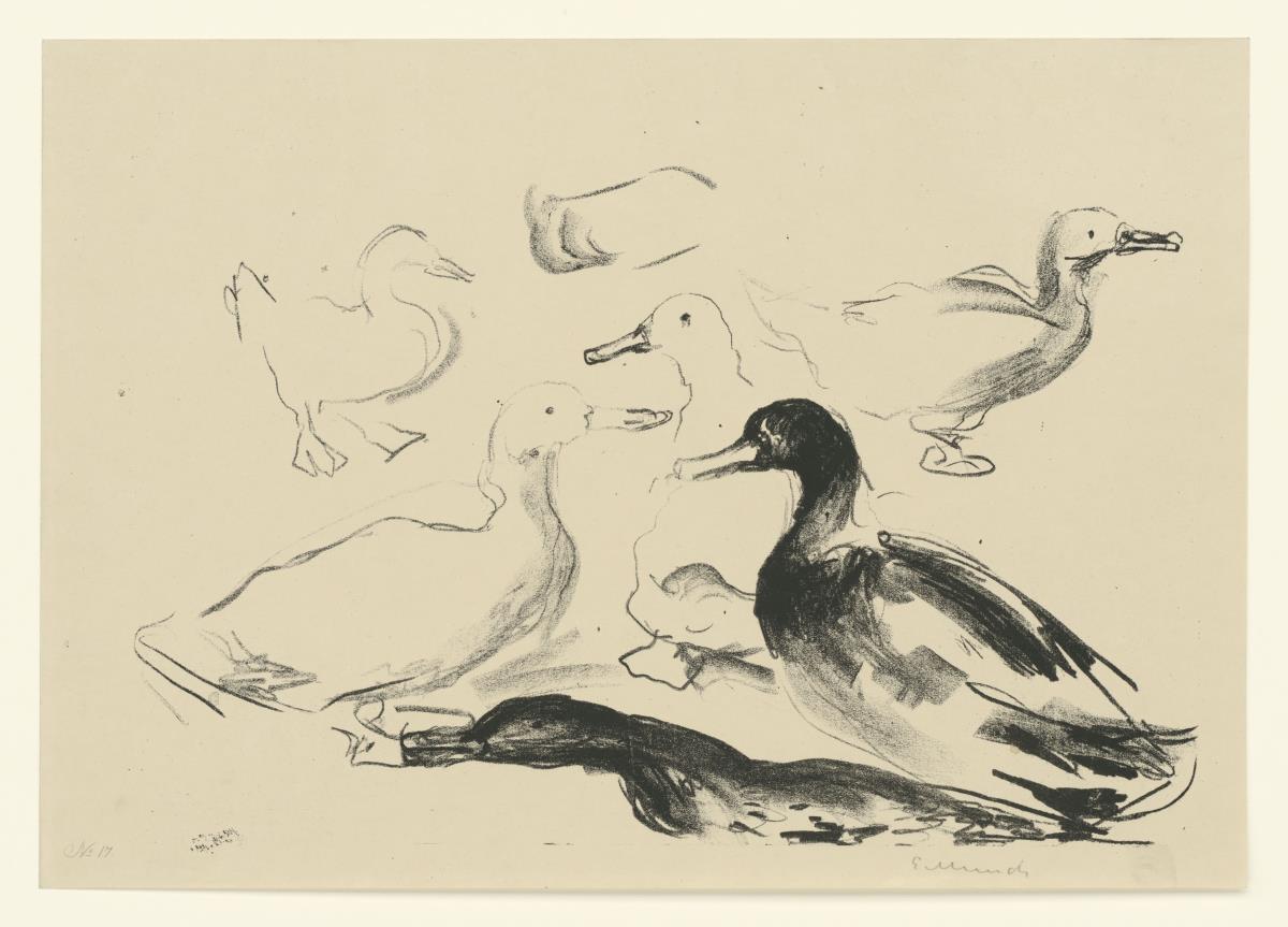 Enten