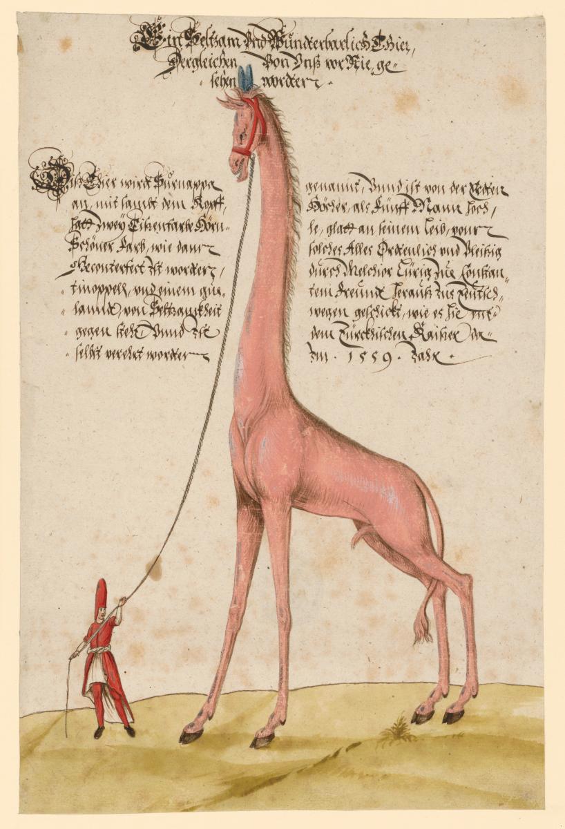 Riesenhafte Giraffe