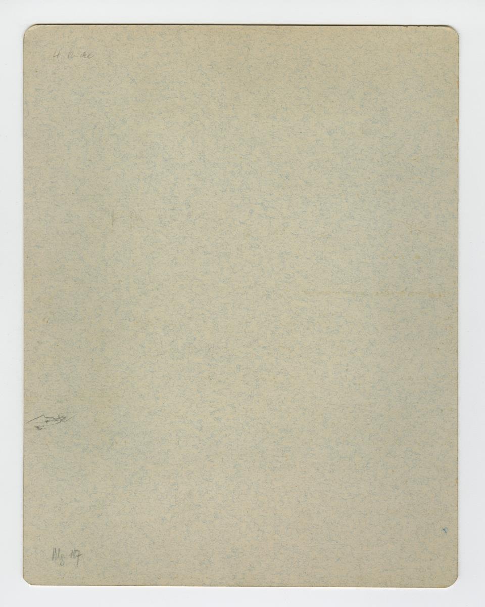 Magnesia am Mäander, Agora, Löwenkopf-Wasserspeier