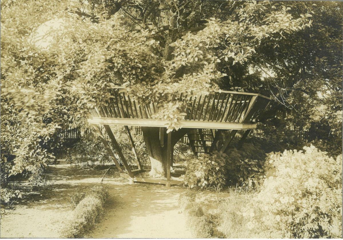 Danvers, Francis Peabody House, "The Lindens", Garten