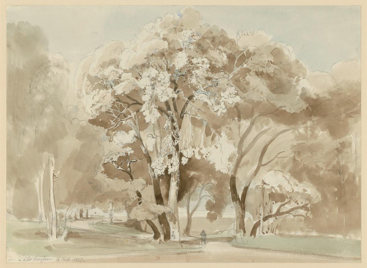 Baumgruppe im Park der Villa Borghese in Rom
