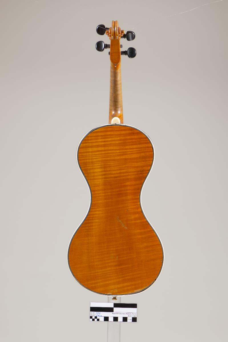 Violine