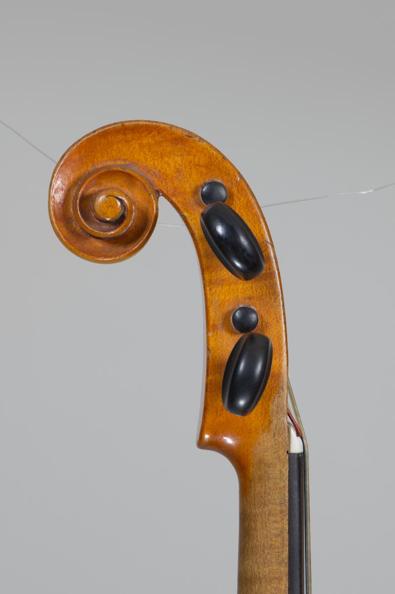 Violine