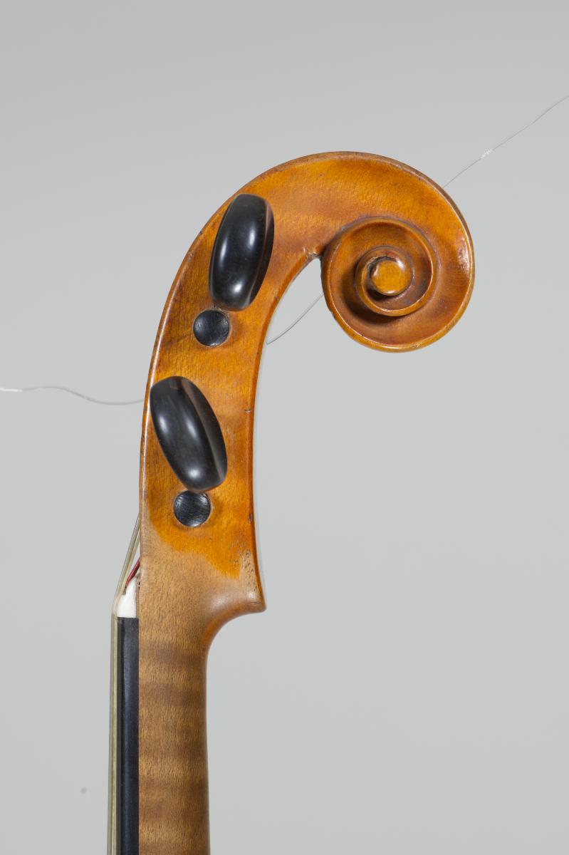 Violine