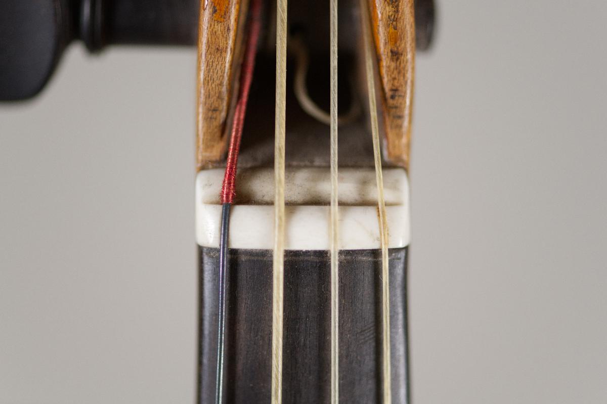 Violine
