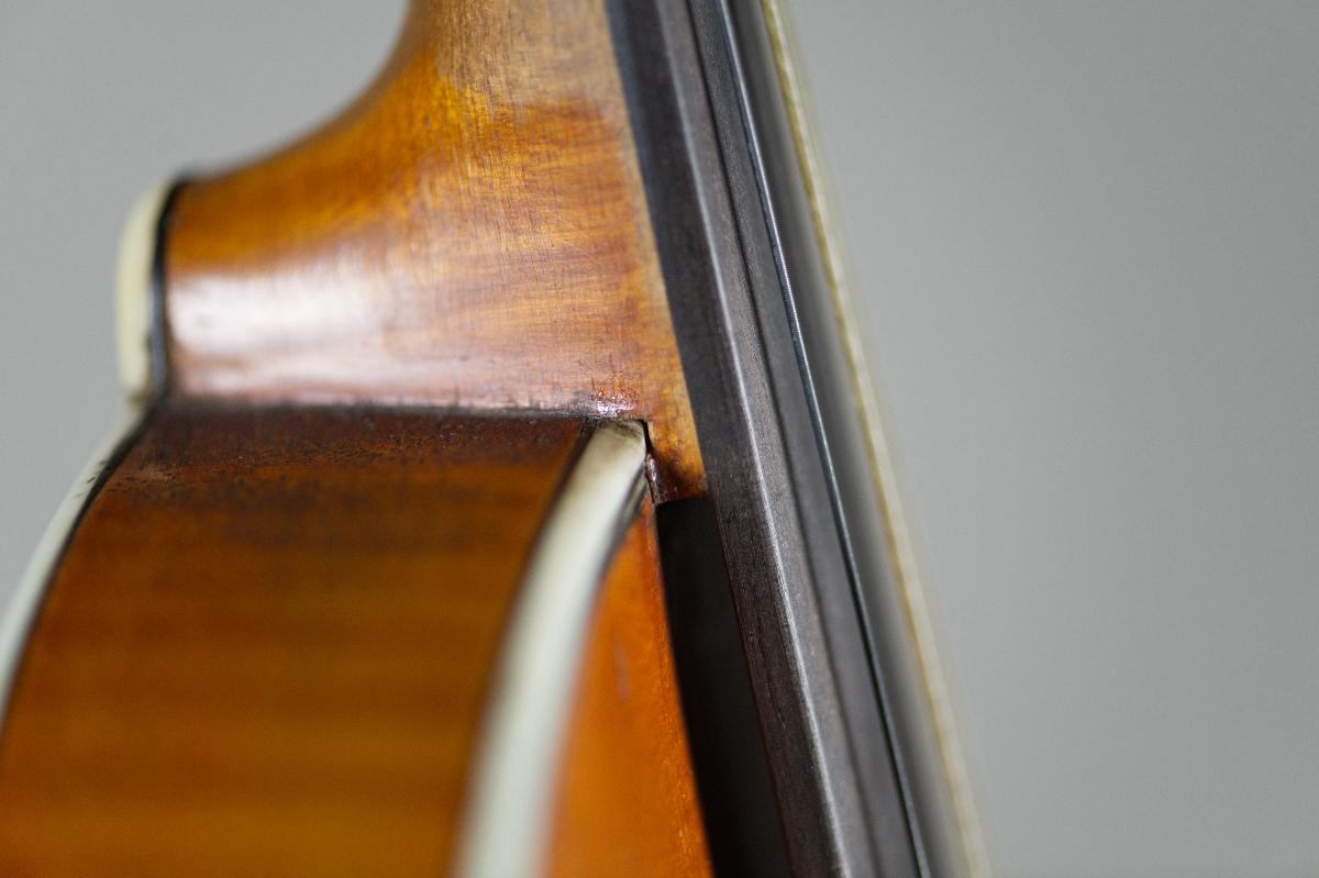 Violine
