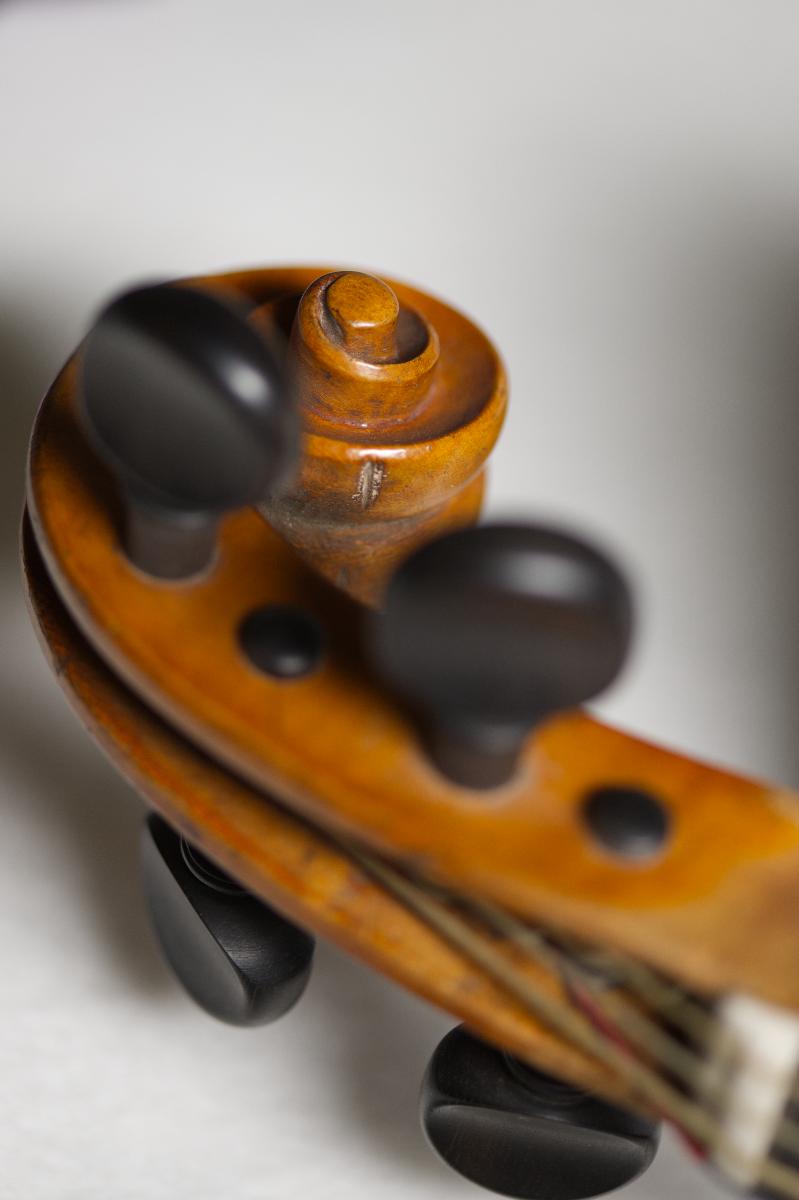 Violine