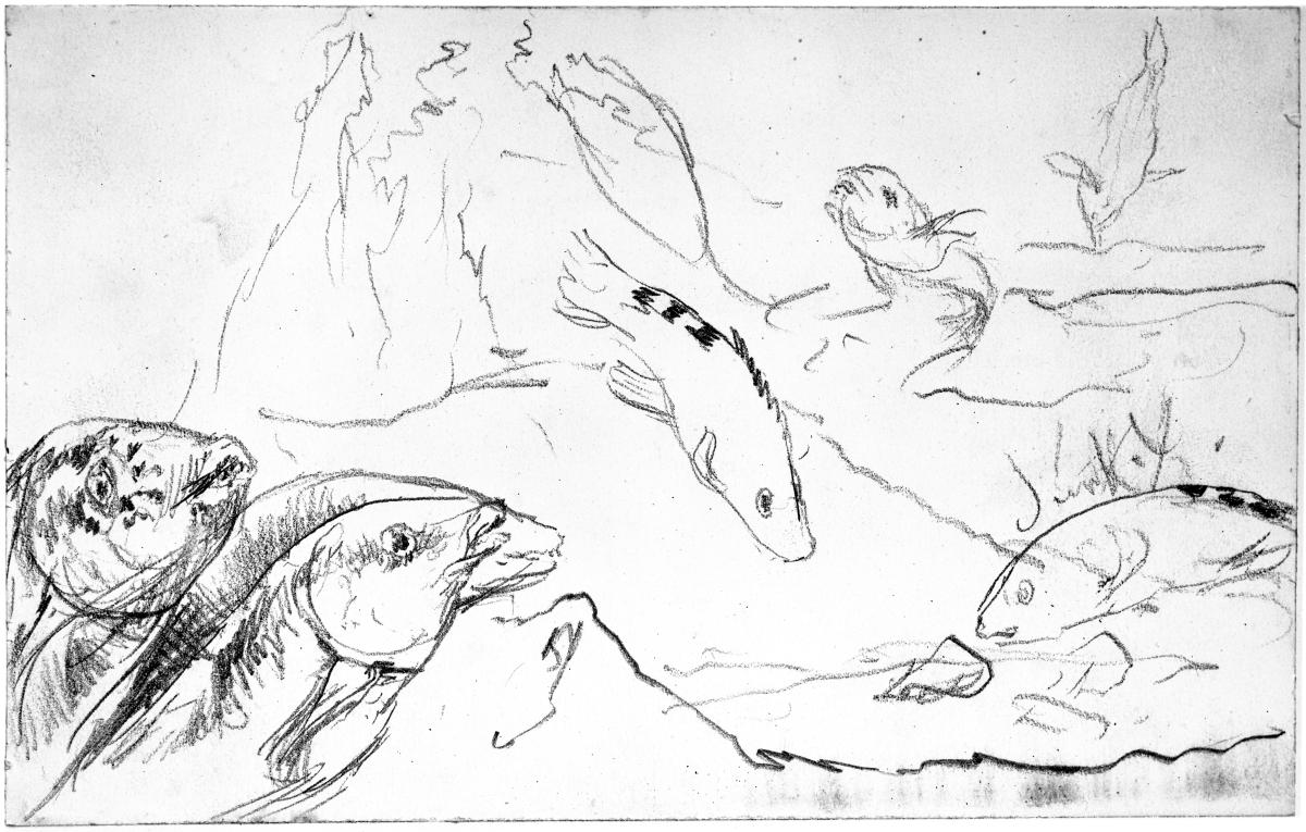 Fische im Wasser