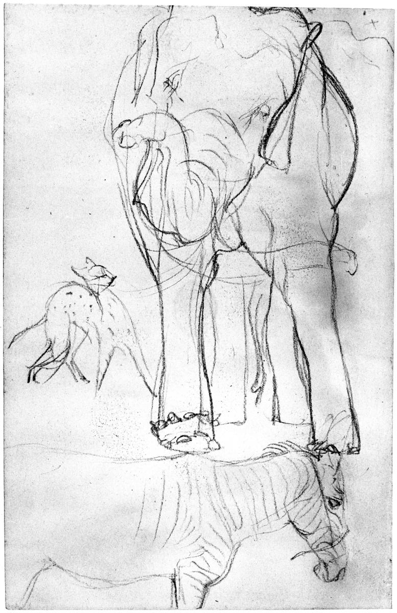 Skizzen von Elefant, Zebra und Tigerkatze