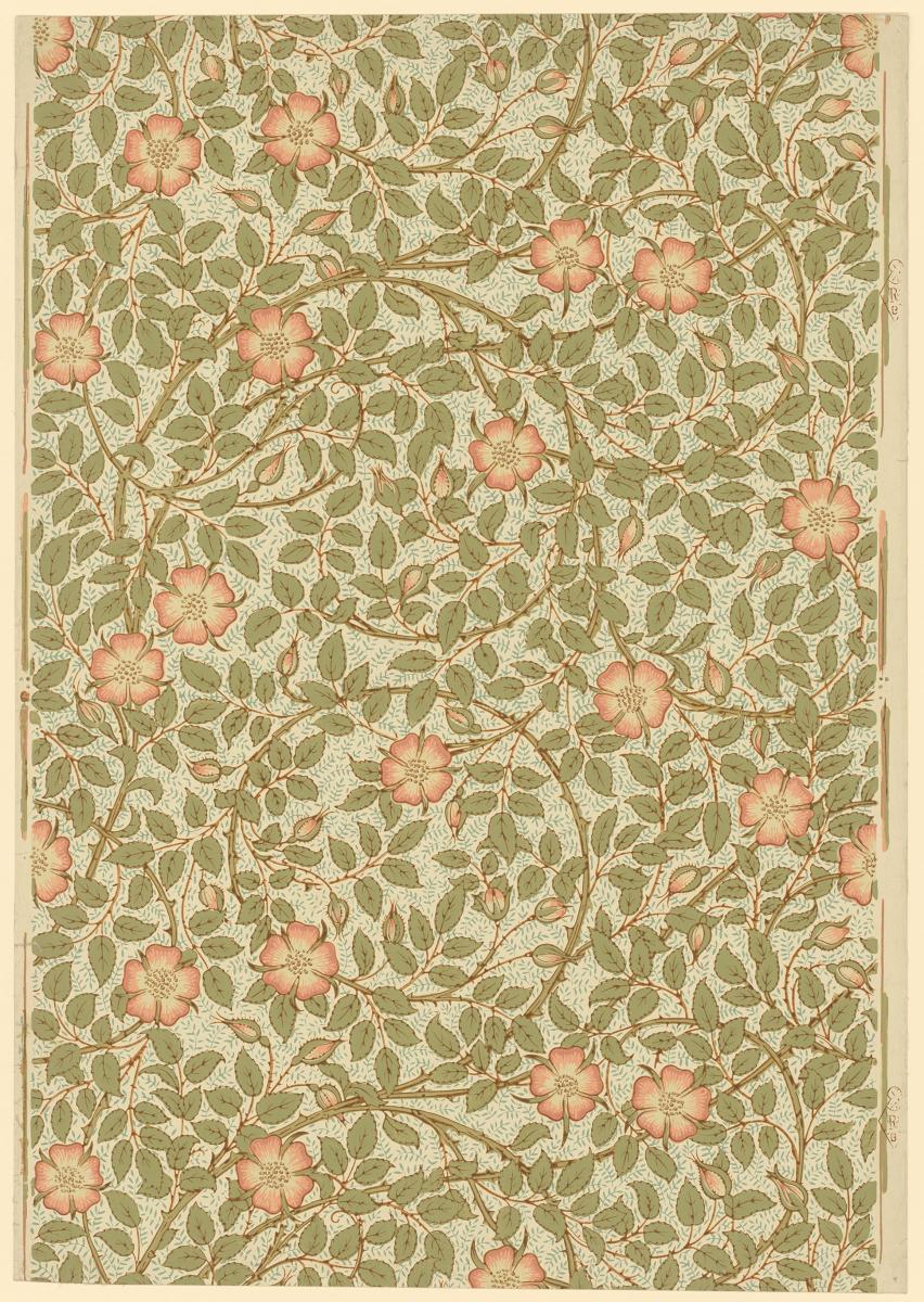 Tapetenmuster Briar Rose