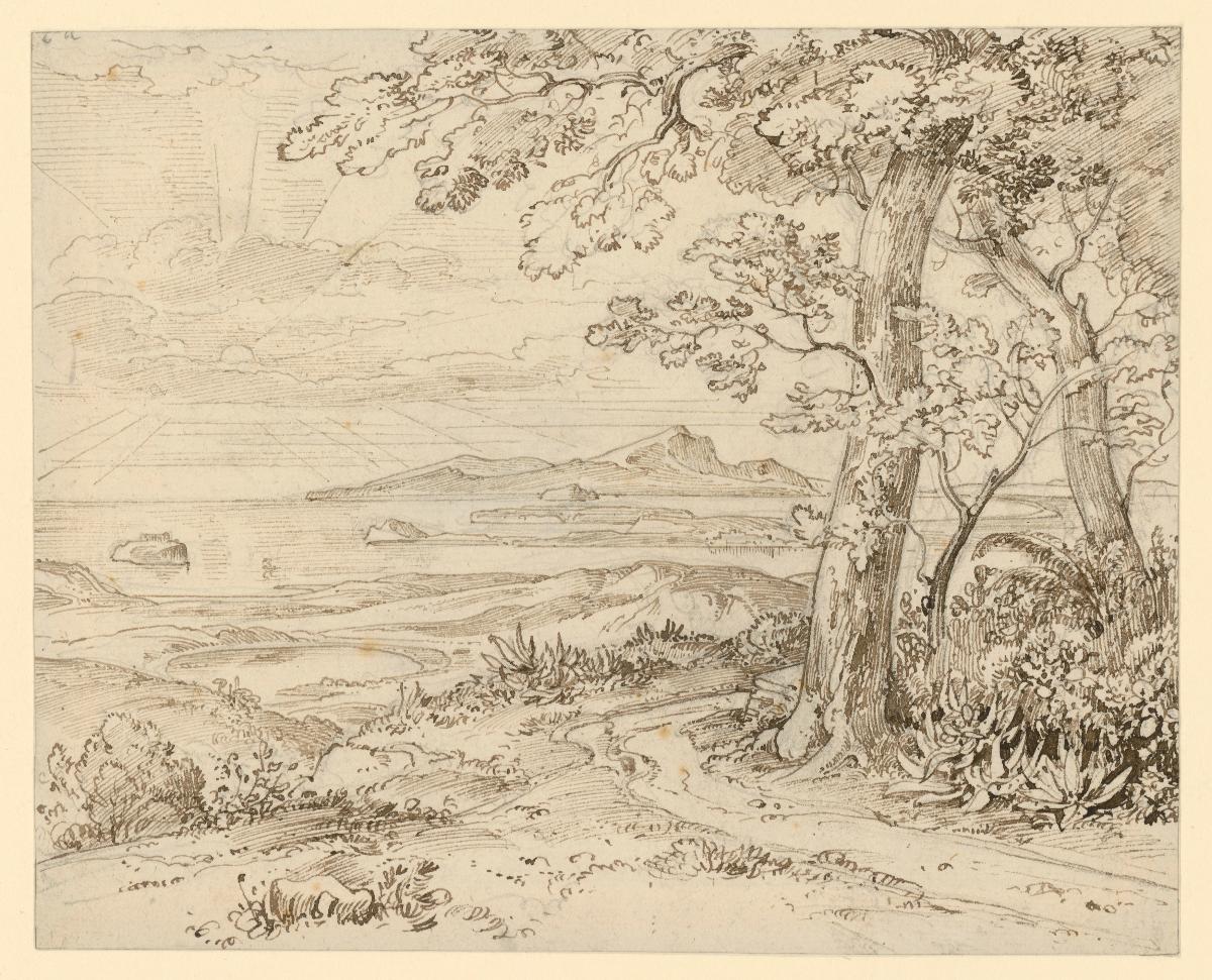 Blick auf Ischia und den Golf von Baiae, vorn ein Baum