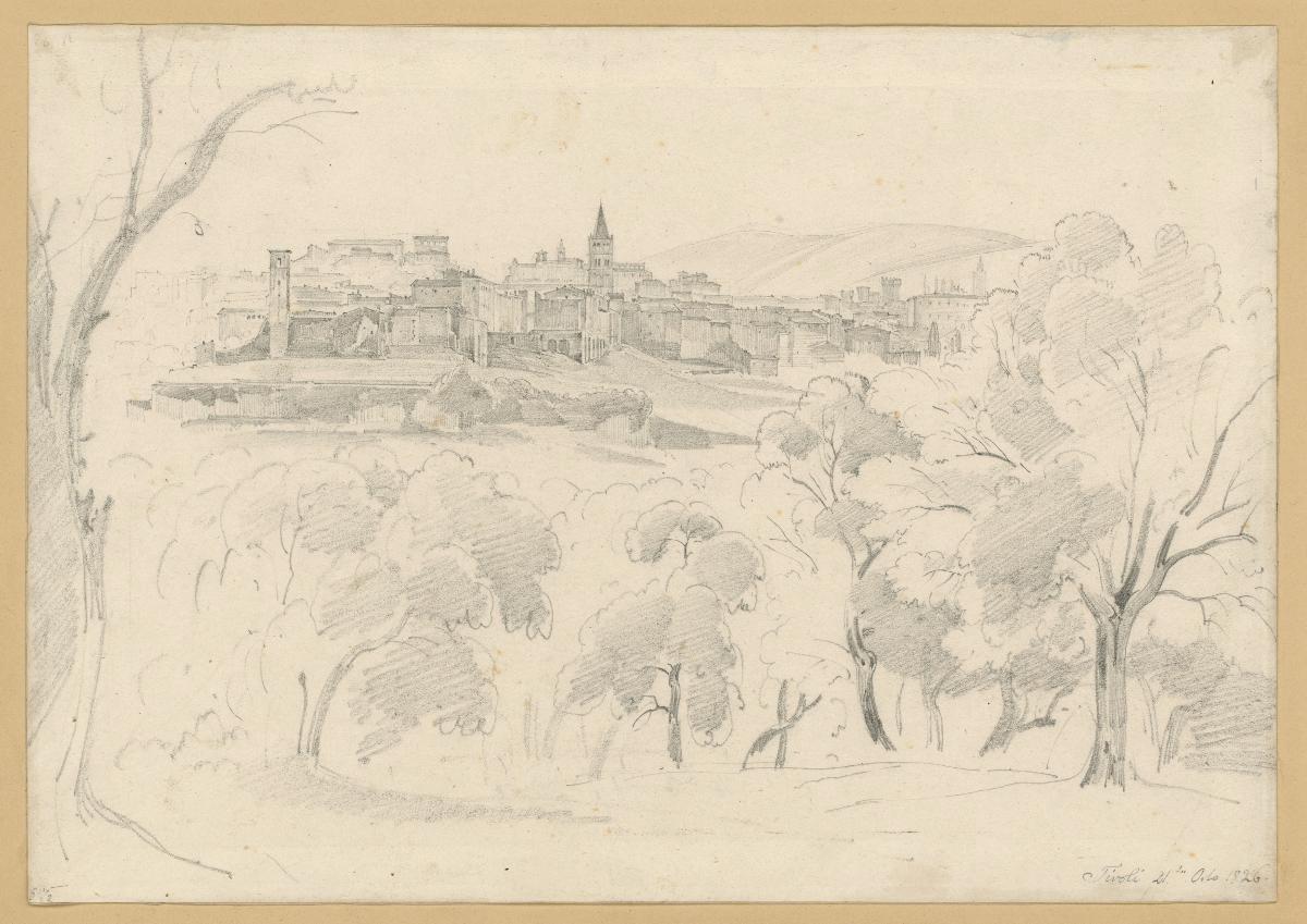 Blick auf Tivoli, vorn eine Waldung