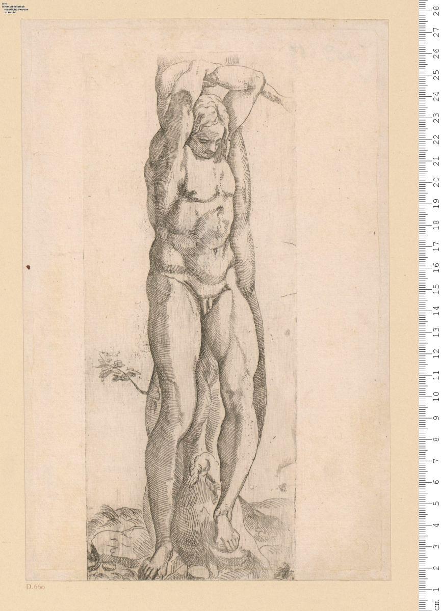 Marsyas gefesselt