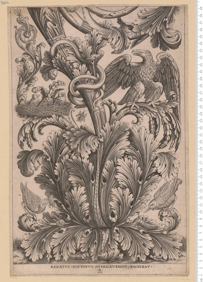Nachbildung und Nachstich: Hochfüllung: Akanthus mit Adler, Adlernest u. a.