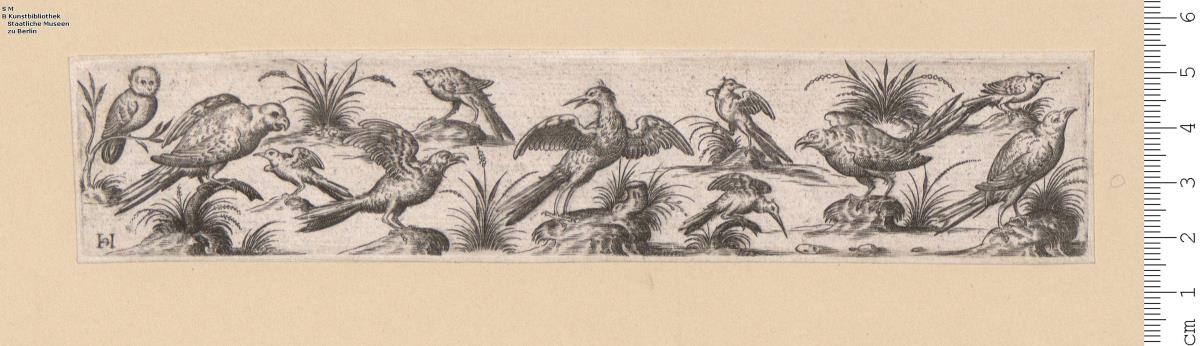 Friese mit Vögeln, meist bez: H C (zsgz.); das erste Bl. mit Aufschrift: Hans Liefrinck.