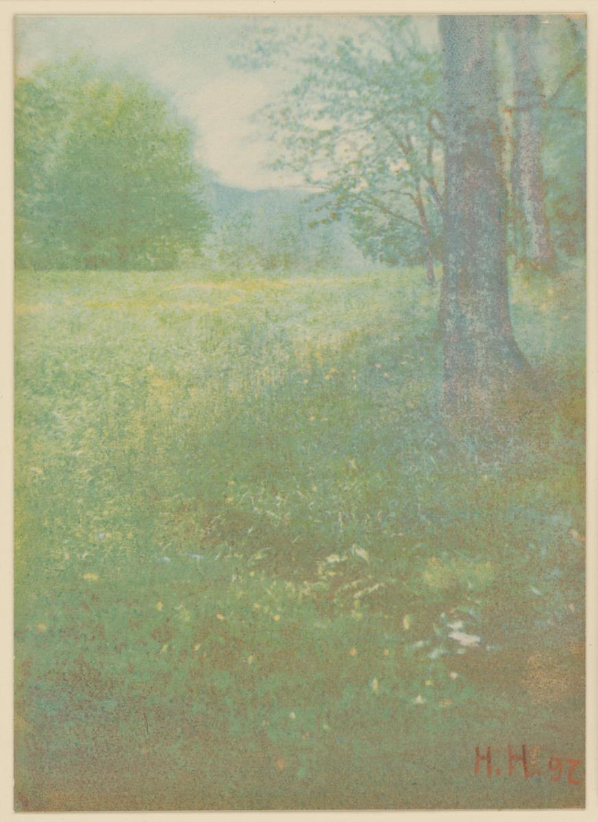 Parklandschaft