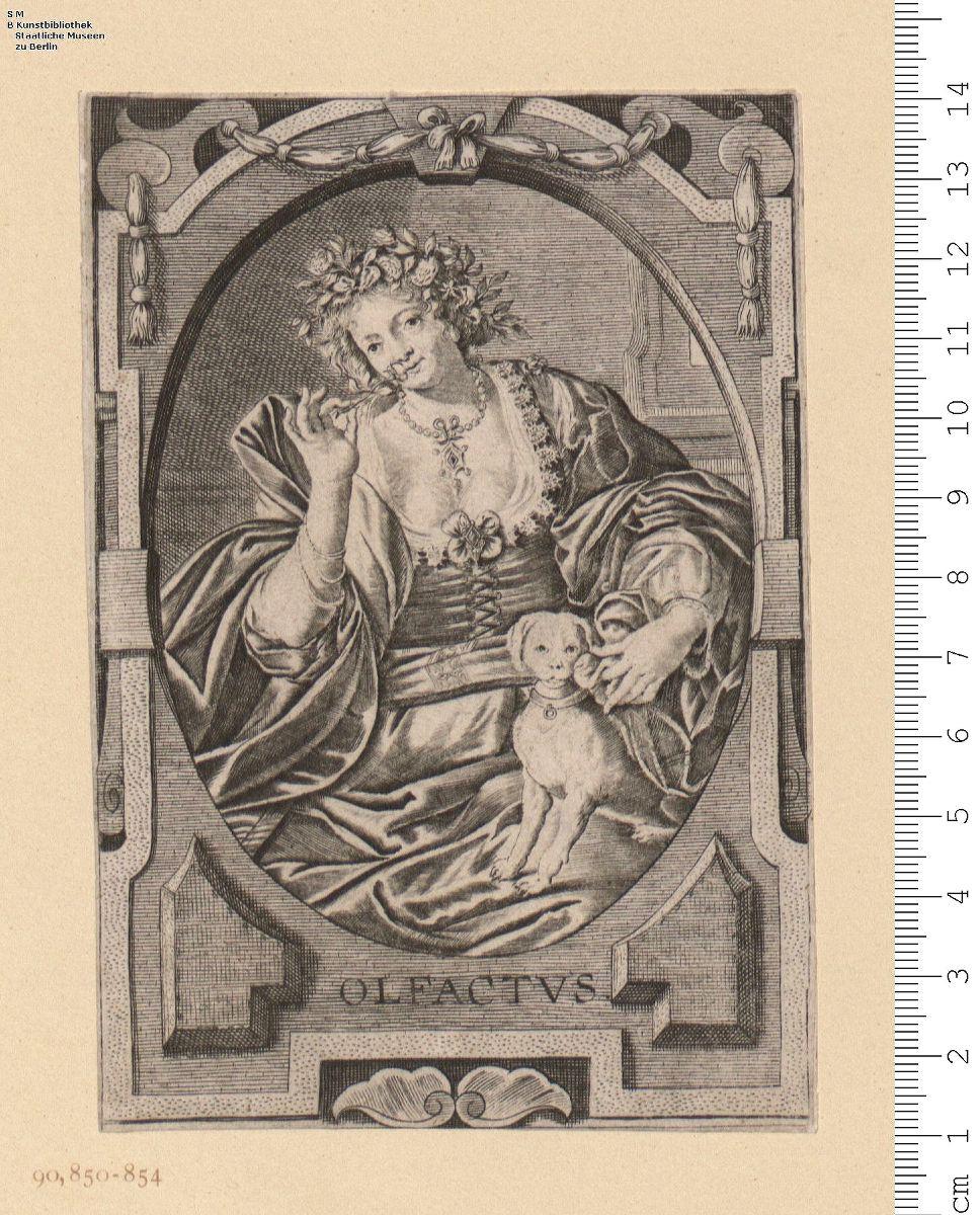 Die Sinne, Frauengestalten in ovalen Umrahmungen, das erste Bl. (Visvs) bez: Pet: van mol pinxit Ioan Galle excudit.
