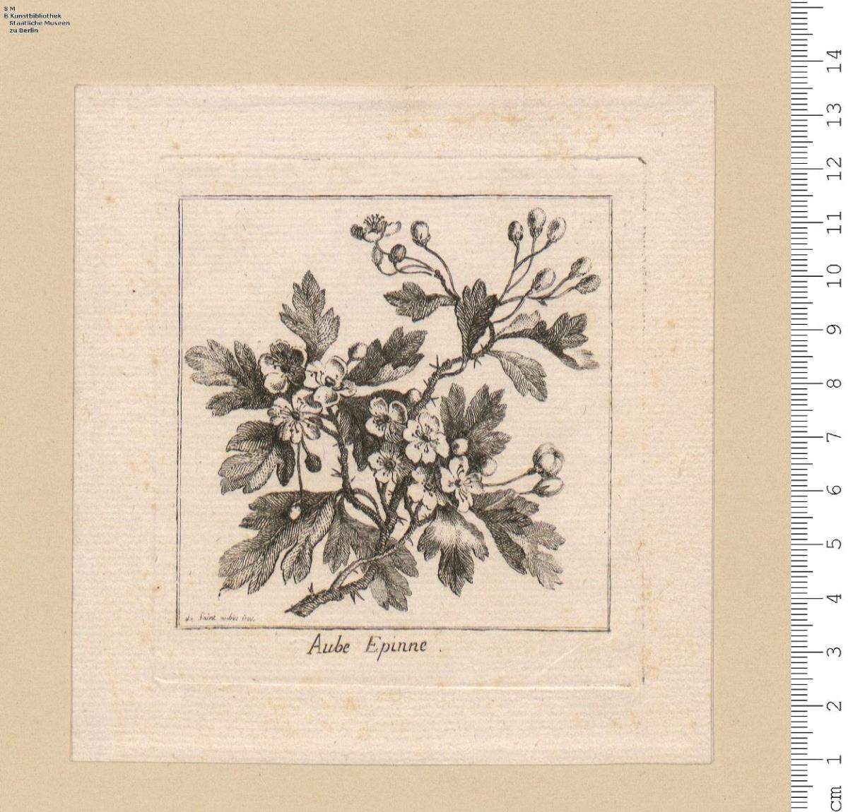 Les Fleurettes De Saint Aubin ... A Paris chés la V.e de F. C. (François Chereau) rue S.t Jacques ...