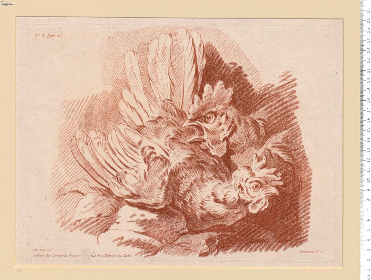 2 Bl. aus: IV.me Livre D'Animaux Dessiné Par J. B. Huet ... A Paris chés Demarteau ...