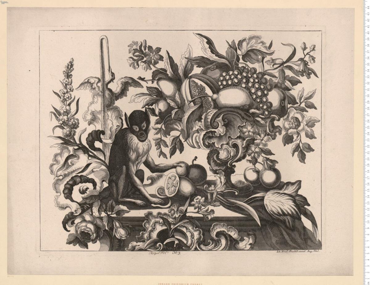 Folge: Muschelwerk: Fruchtvase und Springbrunnen mit Affe bzw. Hase. Ioh. Frid: Probst (handschriftlich geändert wahrscheinlich aus Ioh. Balthasar Probst) excud. Aug. Vind. Verl.-Nr. Regal Fol.o (handschriftlich) 3.