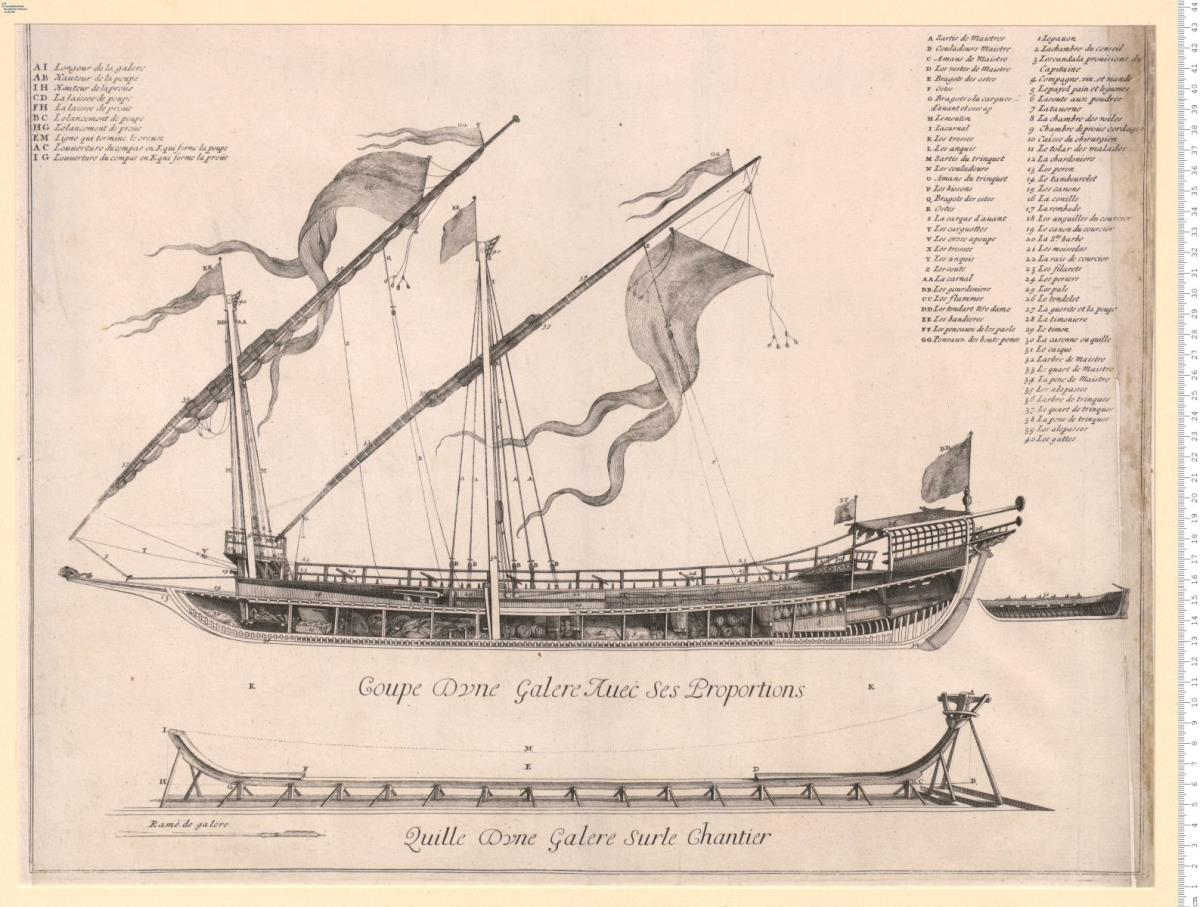 Coupe Dune Galere Auec Ses Proportions